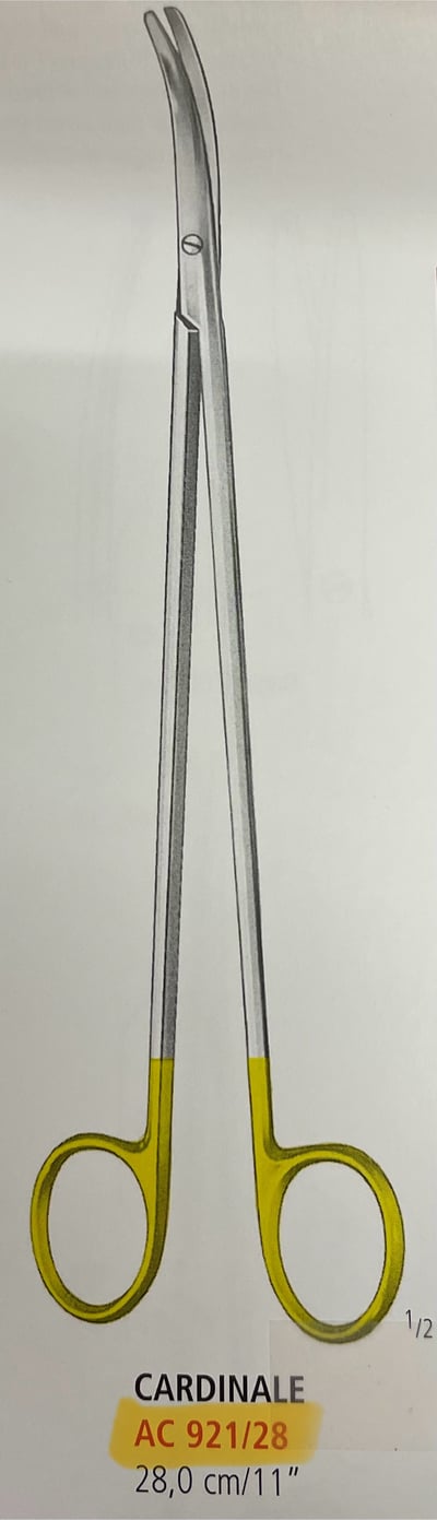 CARDINALE/LEXER SCISSORS TUC2