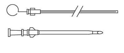Transtracheal Technique: Medium to Large Dogs1