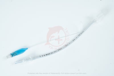 Endotracheal Tube for animal1