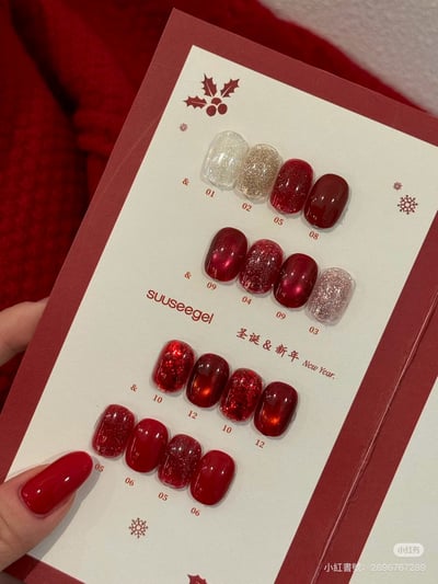 Suuseegel束色｜ 聖誕&新年12色14