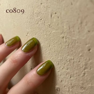 enoi｜彩色凝膠（co801-co810）3g9