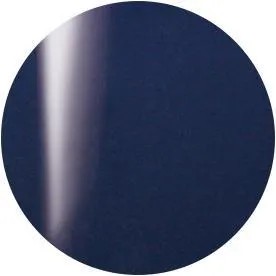 PRESTO｜彩色甲油凝膠（S001-S125）10g9