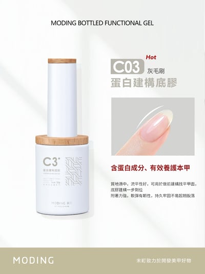 末町｜C3蛋白建構底膠1