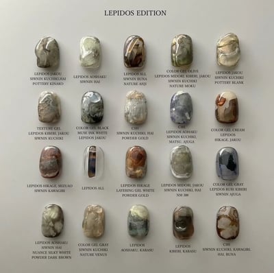 THE FAVORI｜THE FAVORI x NUI LEPIDOS暈染液 9色6