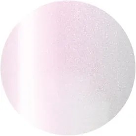 PRESTO｜彩色甲油凝膠（S126-S295）10g17