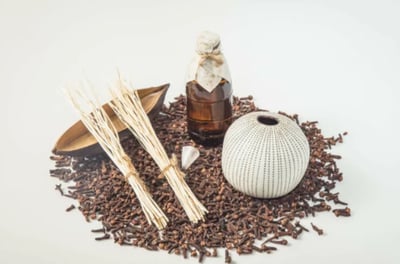 BsaB｜擴香組（白點陶/黑釉陶）5