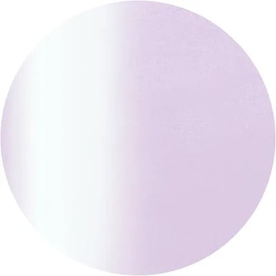 PRESTO｜彩色甲油凝膠（S300-S332）10g7