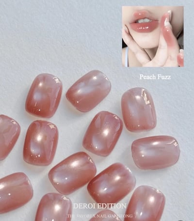 THE FAVORI｜THE FAVORI x NAIL GAMSEONG DEROI貓眼甲油膠6