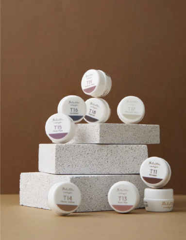 Palette Carys｜水晶糖透光2系列4g (T11-T19)5