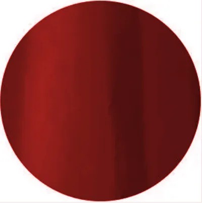 PRESTO｜彩色甲油凝膠（S001-S125）10g22