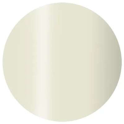 PRESTO｜彩色甲油凝膠（S126-S295）10g5