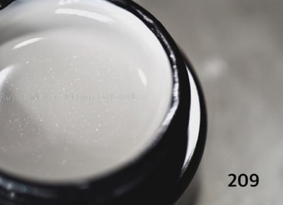 Ruyiya璐意雅｜Ruyi GelXLIGHT光光春季限量聯名色（203-210）3ml6