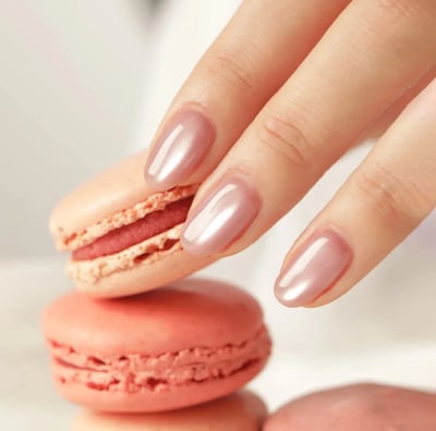 enoi｜Macaroon magnet（MG230-MG234）2