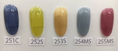 Ricca｜彩色凝膠3g（243-255）3