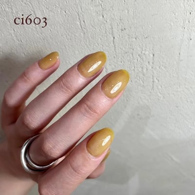 enoi｜彩色凝膠（ci601-ci610）3g3