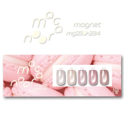 enoi｜Macaroon magnet（MG230-MG234）1