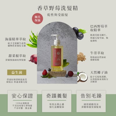香草野莓洗髮精 500ml2