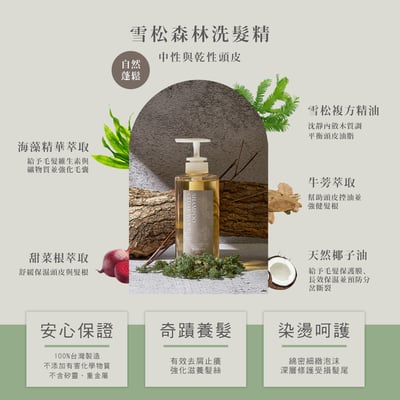 雪松森林洗髮精 500ml2