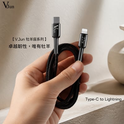 V.Jun Aries Cable (微俊-處女座數據線）9