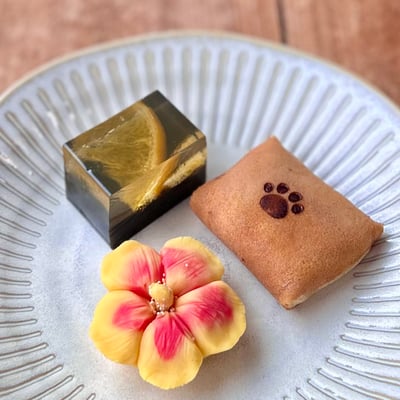 晚崙西亞柑橘生果子6入組4