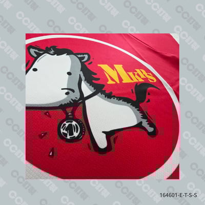 澎湖縣_馬公市_馬公國小_運動服5