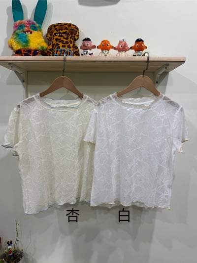 蝴蝶結暗紋短袖1