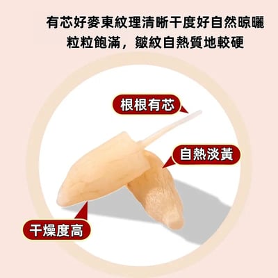 【補滿元氣活力滿滿】黃芪麥冬黨參西洋參元氣四寶茶獨立茶包3