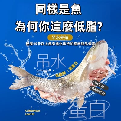 中山吊水脆肉鯇鮮切活魚片4