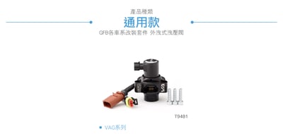 T9481 VAG EA888 Gen3 外洩式洩壓閥2
