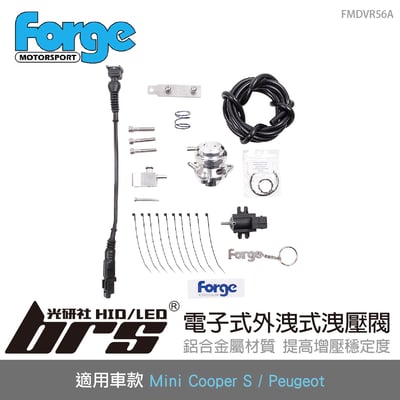 FMDVR56A Forge N14 電子式外洩式洩壓閥1