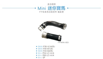 FTP-MINI-003 GP FTP 渦輪管4