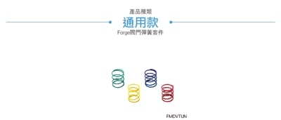 FMDVTUN Forge 閥門彈簧調節套件3