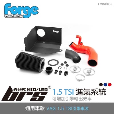 FMINDK35 Forge 1.5 TSI EVO 進氣系統1