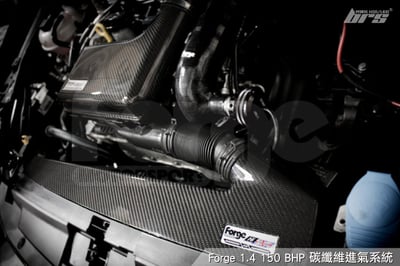 FMINDK14 1.4 150 BHP 碳纖維進氣系統2