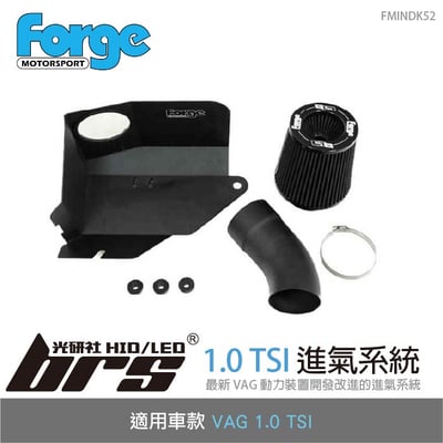 FMINDK52 VAG 1.0 TSI 進氣系統1
