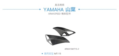 免運 免工資 ARMAYAMT15-2 MT-15 碳纖維寬體套件4
