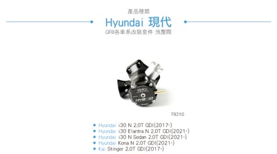 T9210 GFB Hybird 內外洩機械式洩壓閥3
