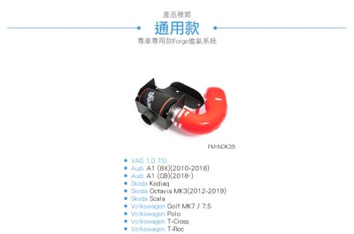 FMINDK39 VAG 1.0 TSI 進氣系統5