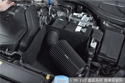 FMINDK35 Forge 1.5 TSI EVO 進氣系統3