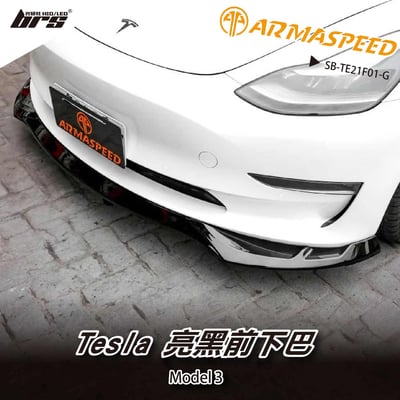 免運 免工資 SB-TE21F01-G Model 3 前下巴1