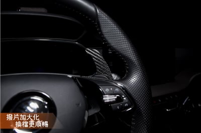 免運 免工資 SC-SK40G01-- Skoda EVO4 碳纖維方向盤撥片4