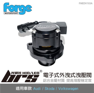 FMEDV103A Forge 外洩式洩壓閥1