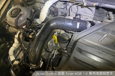 FMDV18 Forge EA211 1.0 外洩式洩壓閥套件3