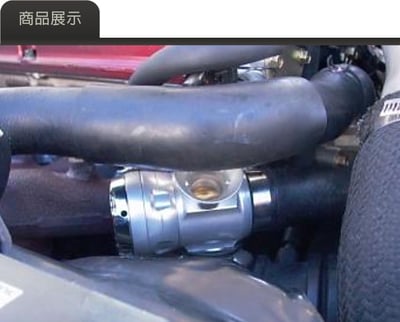 T9533 GFB Decep tor Peo II 電子控制內外洩洩壓閥2