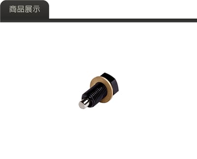 L013B M12 機油磁鐵螺絲2