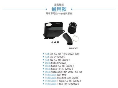 FMINDK52 VAG 1.0 TSI 進氣系統4