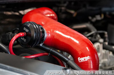 FMDV18 Forge EA211 1.0 外洩式洩壓閥套件2