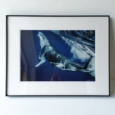 ｜攝影｜鋁框-無酸裝裱1