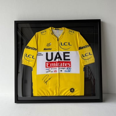 ｜簽名車衣｜#620+卡紙窗1