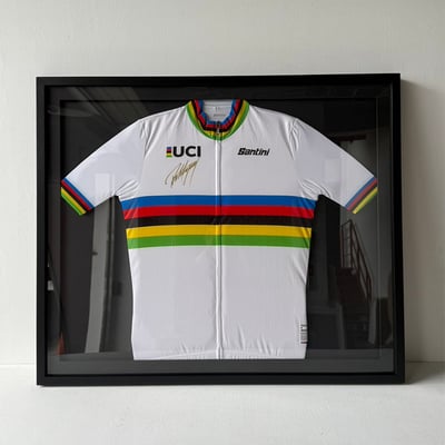 ｜簽名車衣｜#620+卡紙窗2